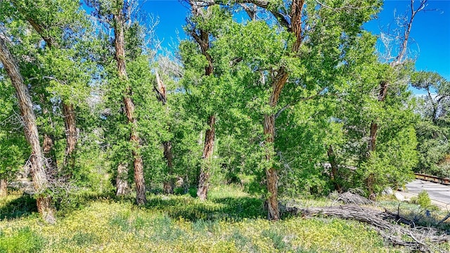 1112 Little River Ln, Poncha Springs, CO 81242