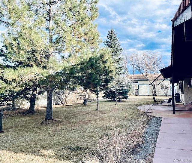 view of yard with a patio area and fence