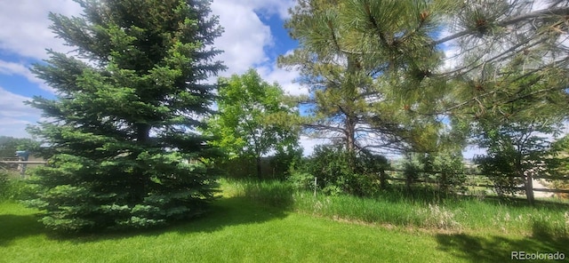 7194 S Himalaya Way, Centennial, CO 80016 - view of yard