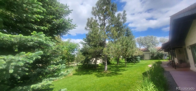 7194 S Himalaya Way, Centennial, CO 80016 - view of grassy yard