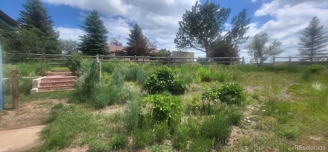 7194 S Himalaya Way, Centennial, CO 80016 - view of yard