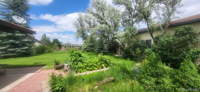 7194 S Himalaya Way, Centennial, CO 80016 - view of green lawn