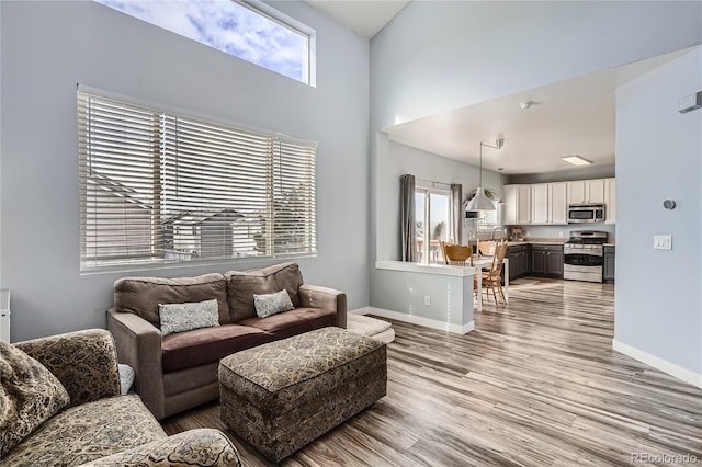 living room featuring light hardwood / wood-style flooring