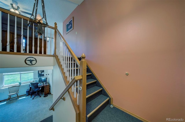 4987 Fabray Ln, Colorado Springs, CO 80922 - staircase with carpet flooring and baseboards