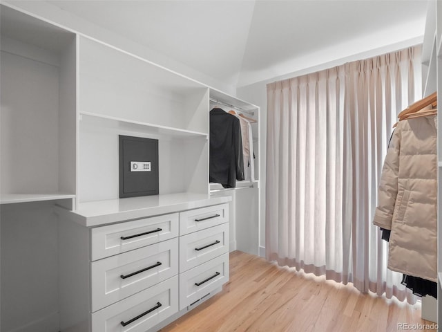 3049 S Vine St, Denver, CO 80210 - spacious closet featuring light wood-style flooring