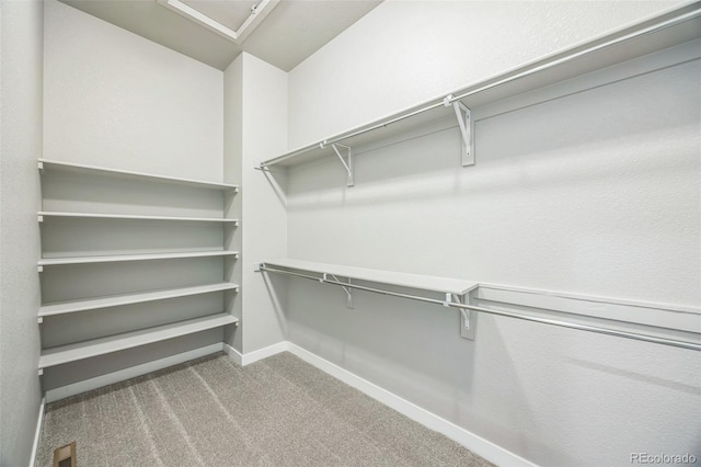 12574 Lake View St, Longmont, CO 80504 - spacious closet featuring carpet