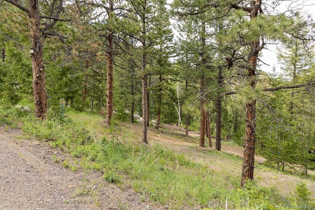 31429 Burke Rd, Golden, CO 80403