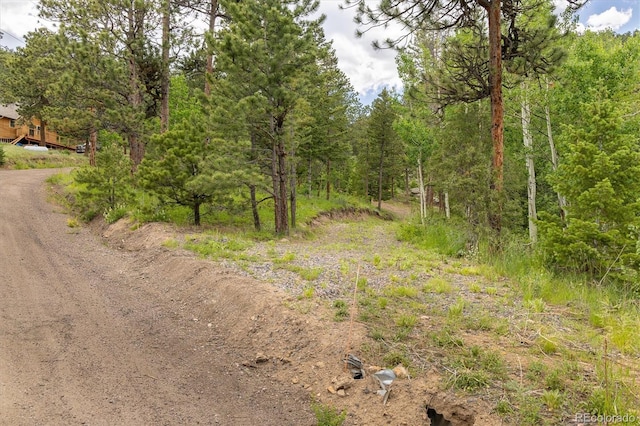 31429 Burke Rd, Golden, CO 80403