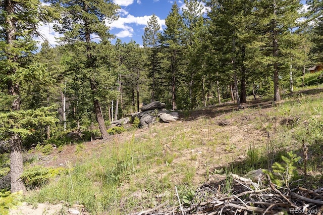 31429 Burke Rd, Golden, CO 80403