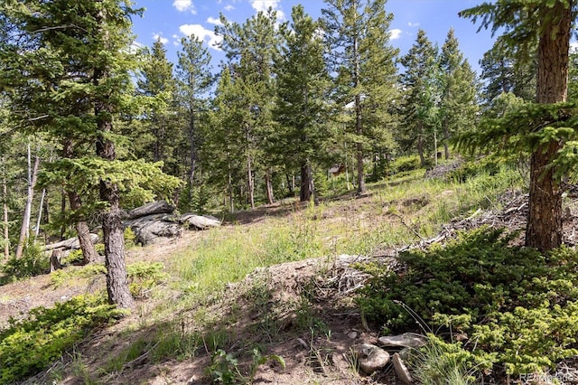 31429 Burke Rd, Golden, CO 80403