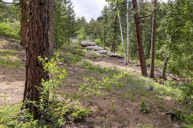 31429 Burke Rd, Golden, CO 80403