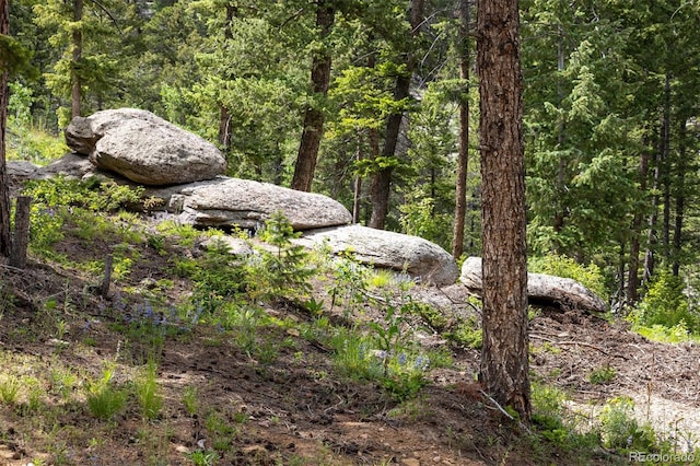 31429 Burke Rd, Golden, CO 80403