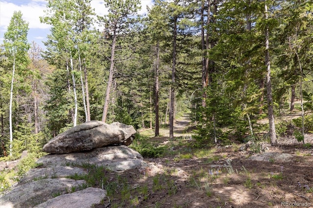 31429 Burke Rd, Golden, CO 80403
