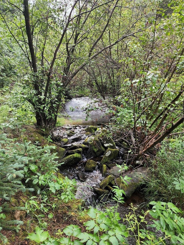 31429 Burke Rd, Golden, CO 80403