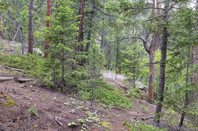 31429 Burke Rd, Golden, CO 80403