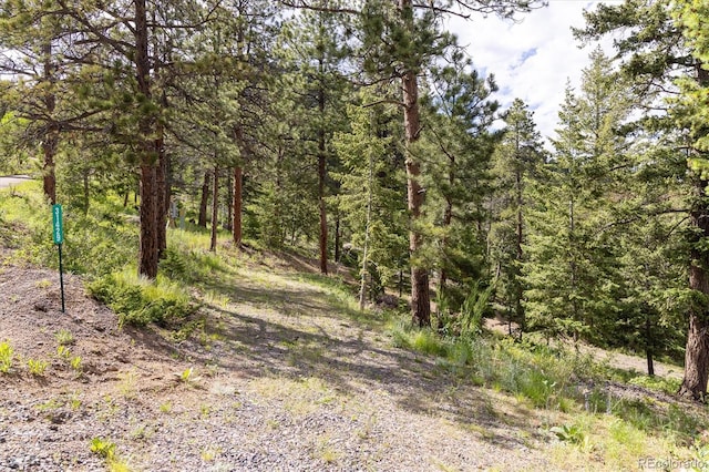 31429 Burke Rd, Golden, CO 80403
