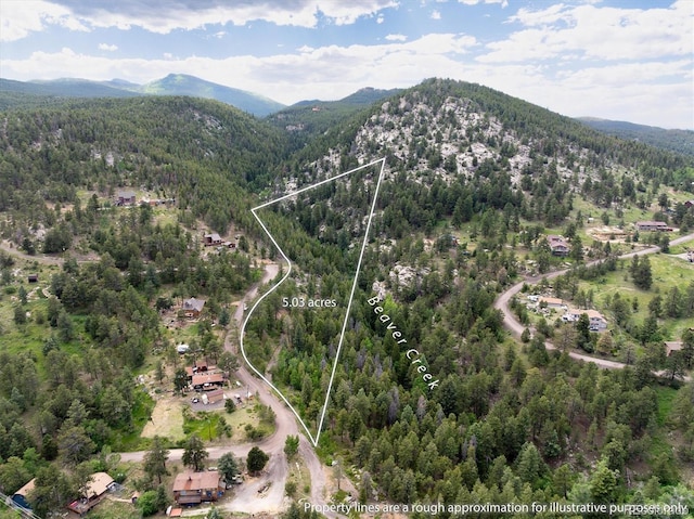 31429 Burke Rd, Golden, CO 80403