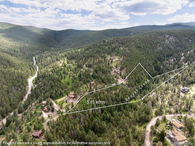 31429 Burke Rd, Golden, CO 80403