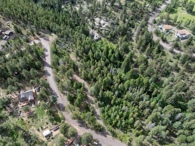 31429 Burke Rd, Golden, CO 80403