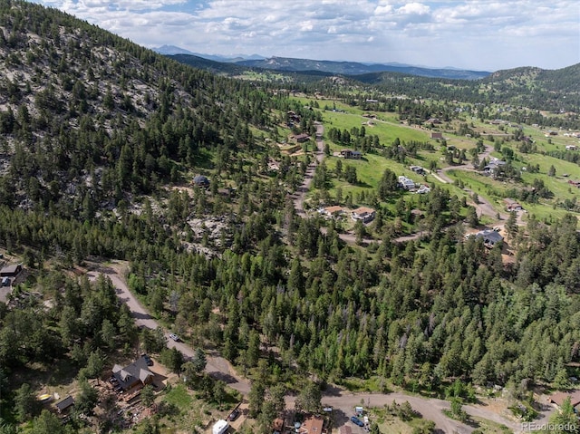 31429 Burke Rd, Golden, CO 80403
