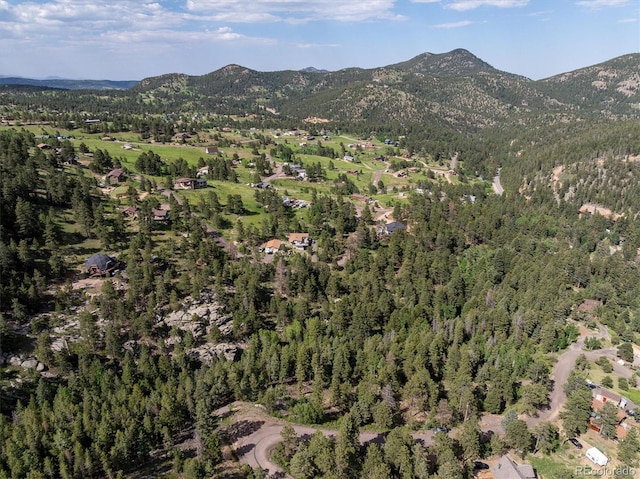 31429 Burke Rd, Golden, CO 80403