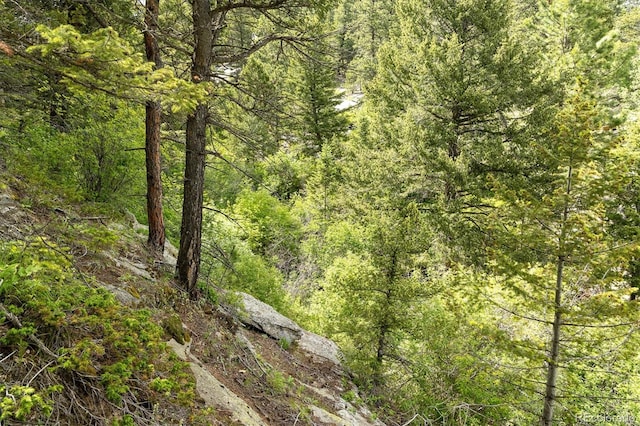 31429 Burke Rd, Golden, CO 80403