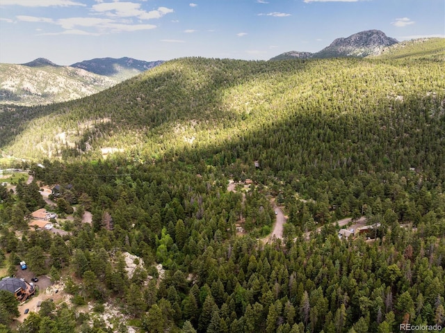 31429 Burke Rd, Golden, CO 80403