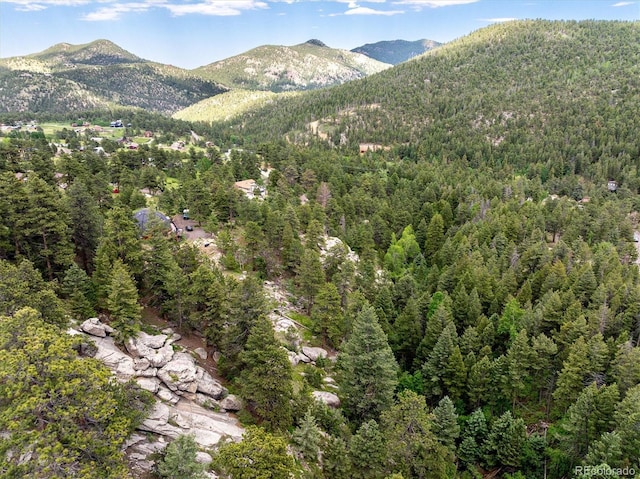 31429 Burke Rd, Golden, CO 80403