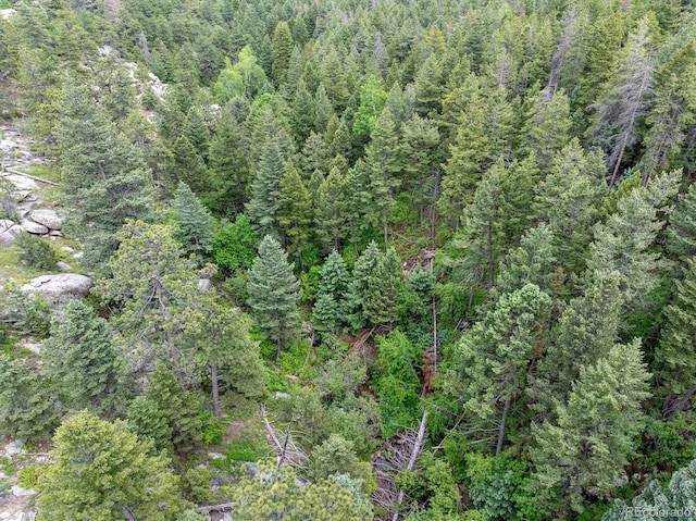 31429 Burke Rd, Golden, CO 80403