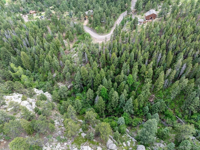 31429 Burke Rd, Golden, CO 80403