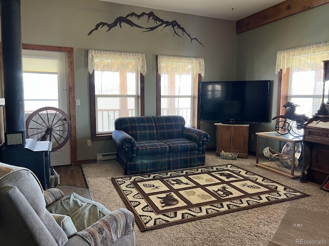 carpeted living room with a healthy amount of sunlight and baseboard heating