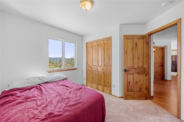 bedroom with a closet and carpet