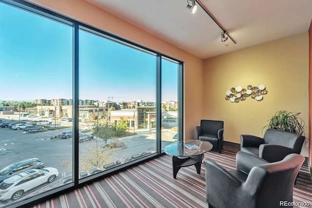 living room featuring rail lighting and carpet