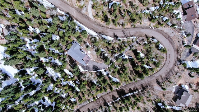 10439 Christopher Dr, Conifer, CO 80433 - view of property location