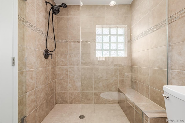 bathroom featuring a shower stall and toilet