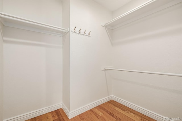 spacious closet with light wood-style flooring