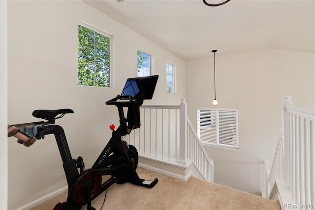 4963 Collingswood Dr, Highlands Ranch, CO 80130 - workout area featuring carpet flooring and baseboards