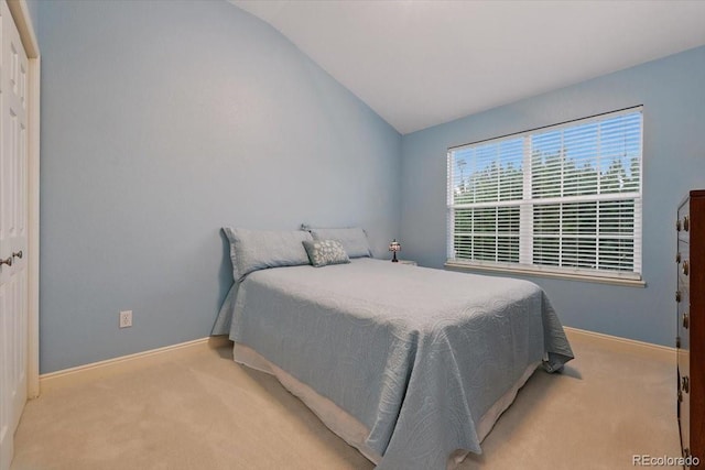 5584 Calamity Jane Ln, Colorado Springs, CO 80923 - photo 18