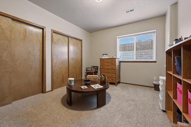 5584 Calamity Jane Ln, Colorado Springs, CO 80923 - photo 30