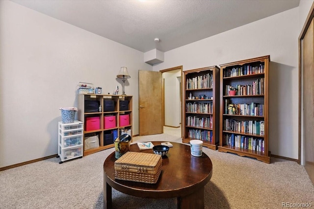 5584 Calamity Jane Ln, Colorado Springs, CO 80923 - photo 31
