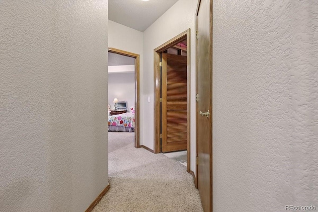 5584 Calamity Jane Ln, Colorado Springs, CO 80923 - photo 33