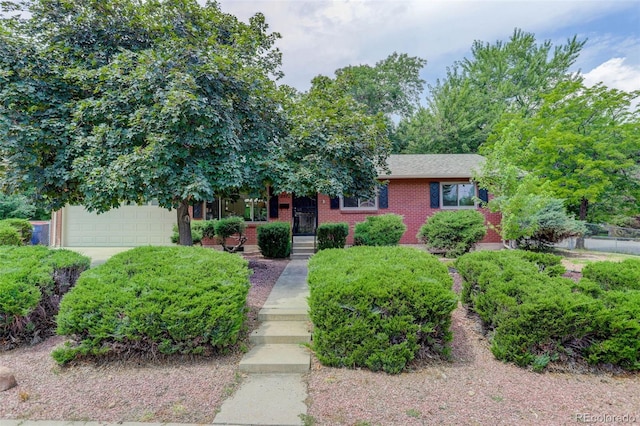 2573 Braun Ct, Golden, CO 80401 - photo 1