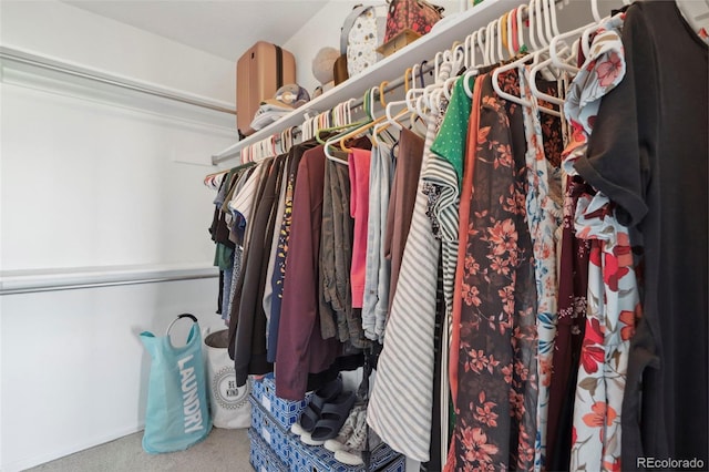 7977 Emerson Ave, Frederick, CO 80530 - walk in closet featuring carpet floors