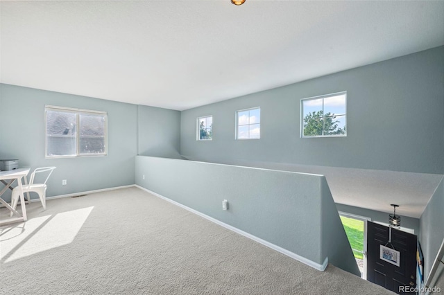 7977 Emerson Ave, Frederick, CO 80530 - unfurnished office featuring carpet flooring and baseboards