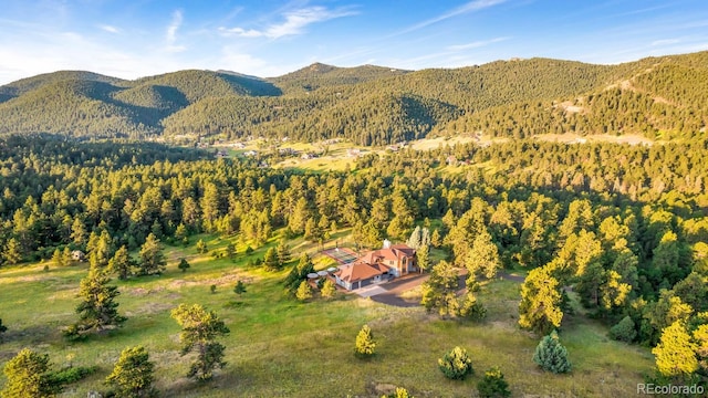 22196 Boar Head Rd, Morrison, CO 80454 - photo 48