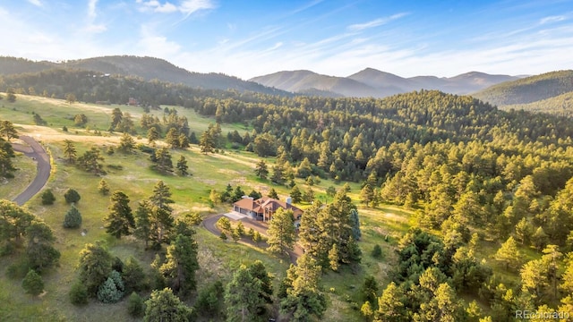 22196 Boar Head Rd, Morrison, CO 80454 - photo 49