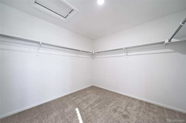 3869 N Shawnee St, Aurora, CO 80019 - spacious closet with carpet floors and attic access