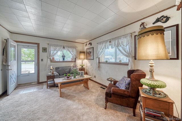 646 C St, Salida, CO 81201 - photo 8