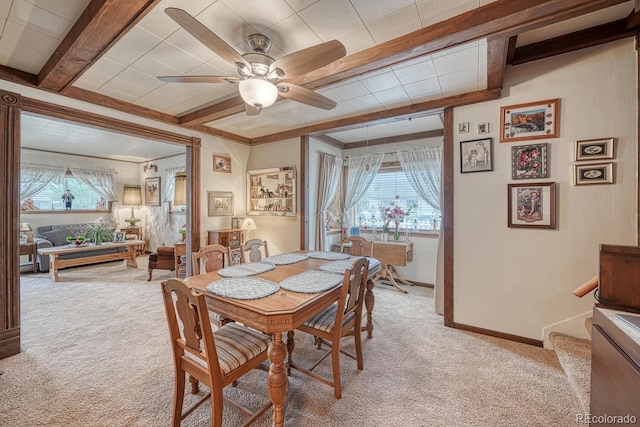 646 C St, Salida, CO 81201 - photo 13