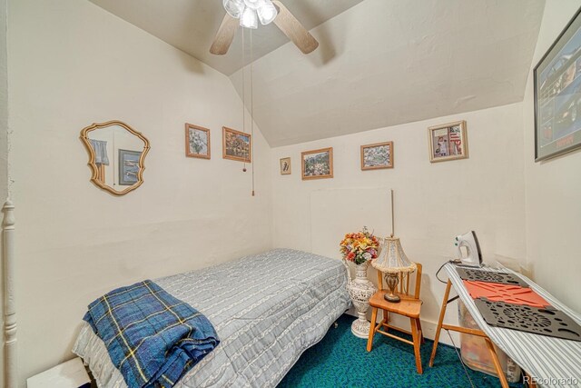 646 C St, Salida, CO 81201 - photo 26